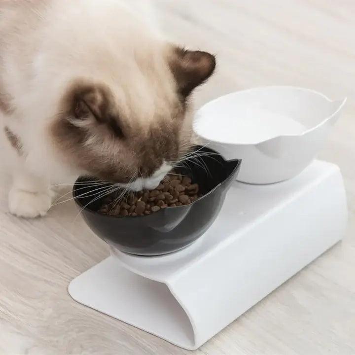 Tigela Ortopédica Anti-Refluxo para Gatos - Lojas Promorin