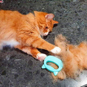 Escova 2 em 1 para Gatos - Remove pelos e massageia