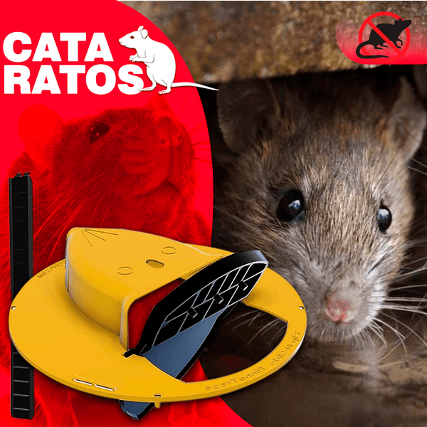 Armadilha de Rato Reutilizável - CataRatos - Lojas Promorin