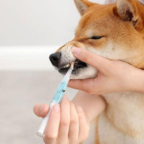 Caneta limpadora de dentes Pet - Anti Tártaro e Bactérias - Lojas Promorin