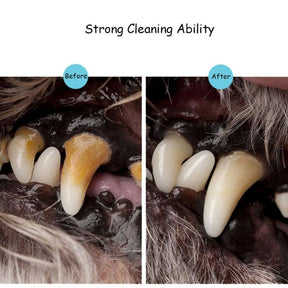 Caneta limpadora de dentes Pet - Anti Tártaro e Bactérias - Lojas Promorin