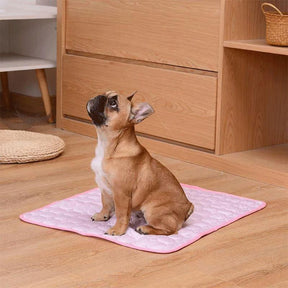 Tapete Gelado Para Pets - Compre 1 Leve 2 - Lojas Promorin